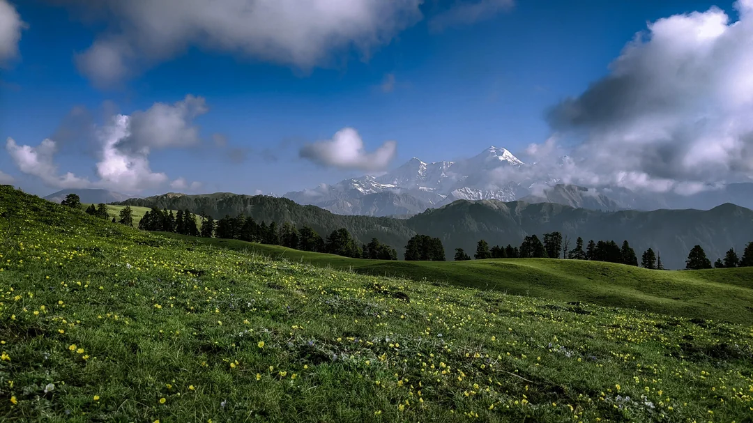 A Comprehensive Guide to the 2025 Dayara Bugyal Summer Trek