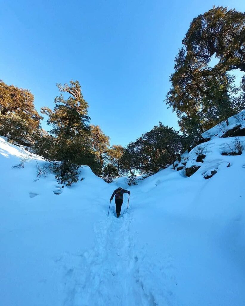 Brahmatal Trek Package