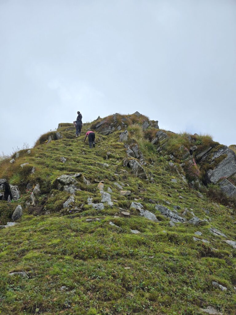 Dayara Bugyal Trek Package