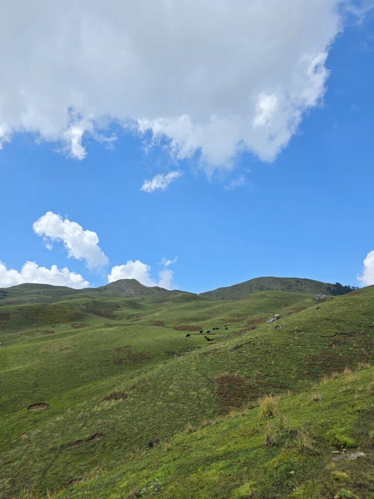 Dayara Bugyal Trek Package