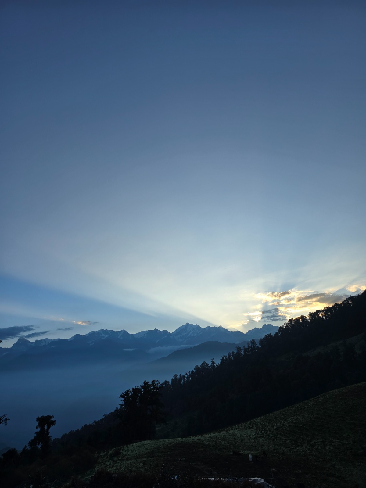 Dayara Bugyal Trek Package