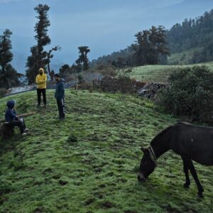 Dayara Bugyal Trek Package