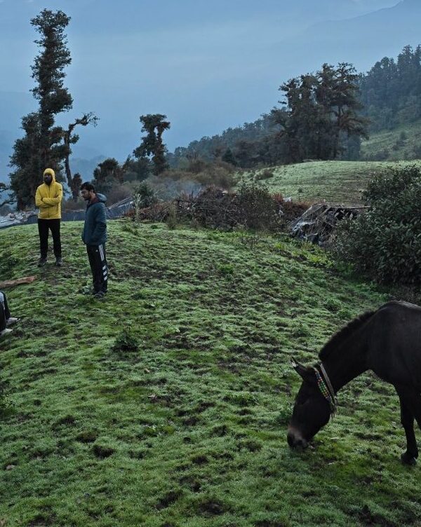 Dayara Bugyal Trek Package