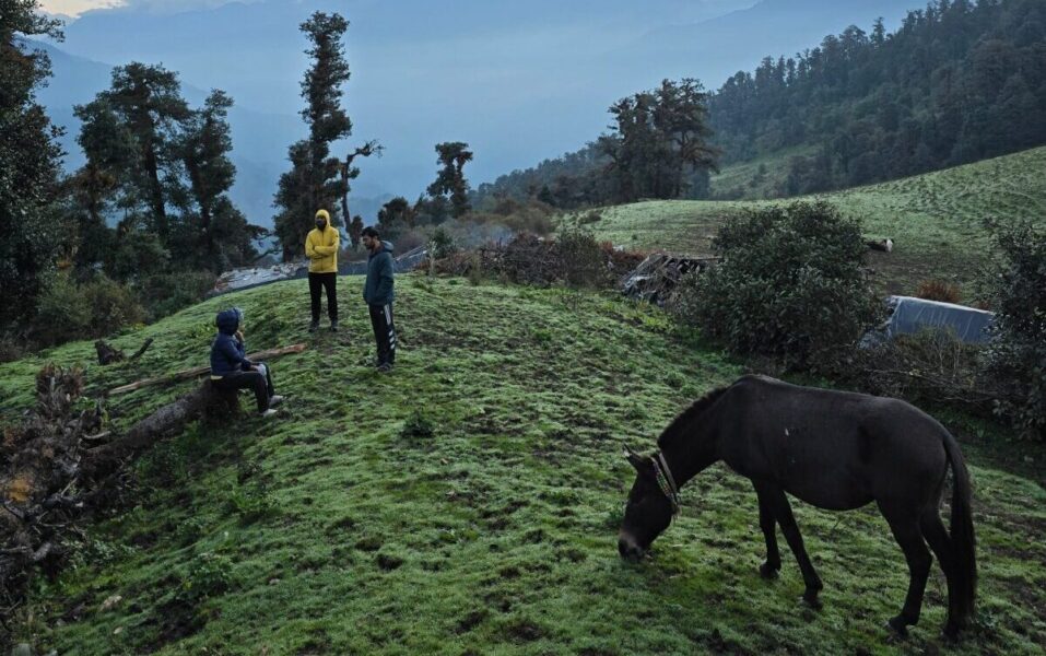 Dayara Bugyal Trek Package
