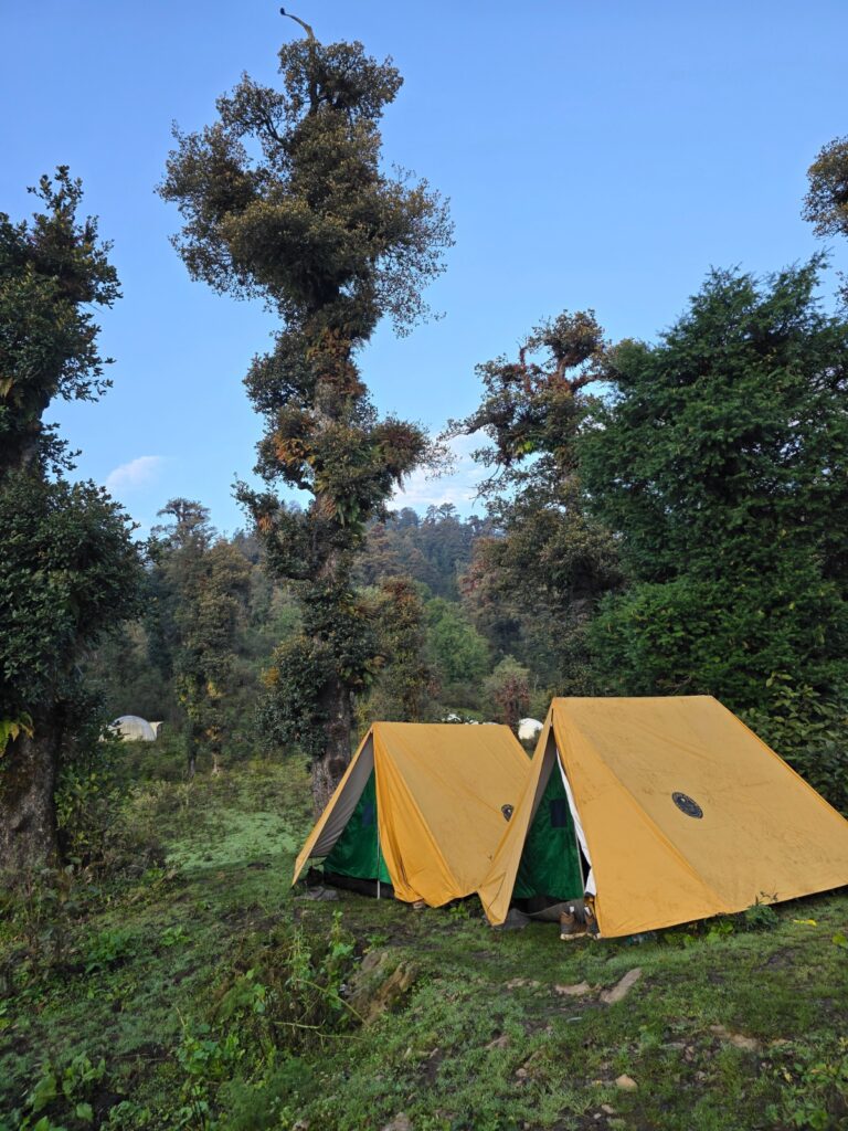 Dayara Bugyal Trek Package