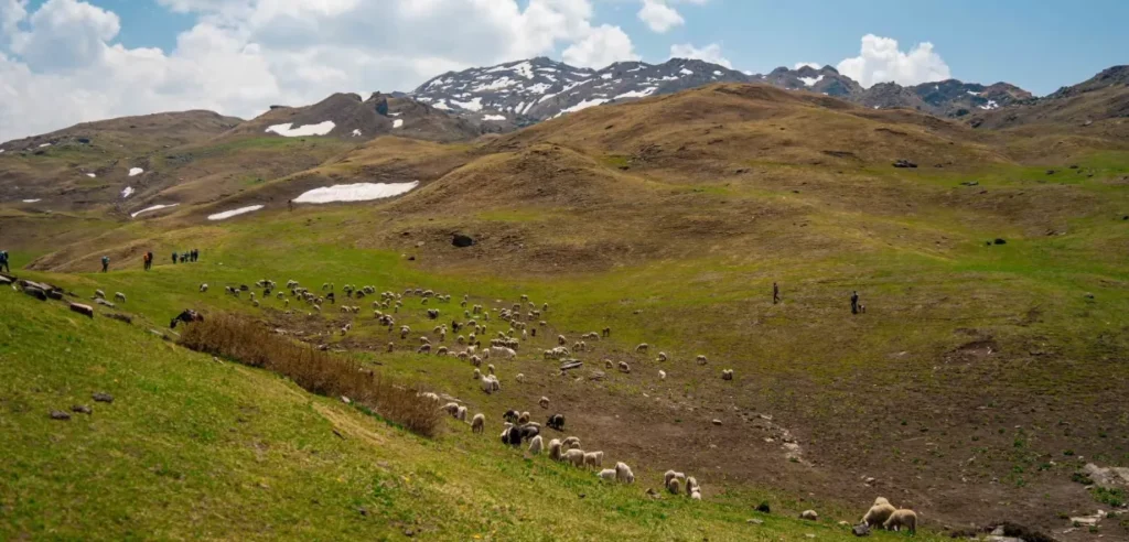 Kuari Pass Trek Package