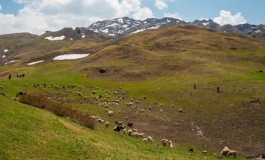 Kuari Pass Trek Package