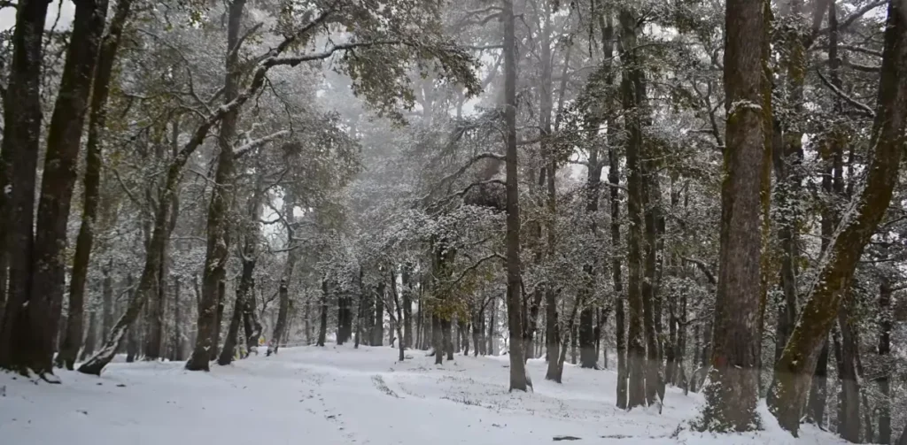 Kuari Pass Trek Package