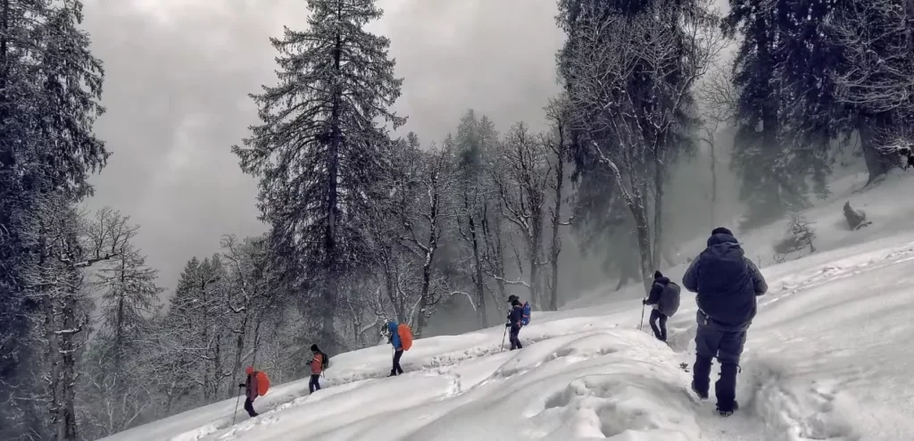 Kuari Pass Trek Package