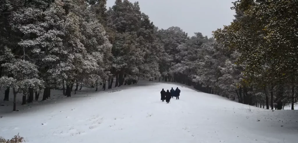 Kuari Pass Trek Package