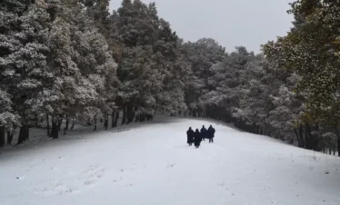 Kuari Pass Trek Package