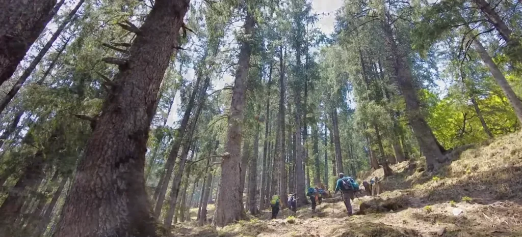 Kuari Pass Trek Package