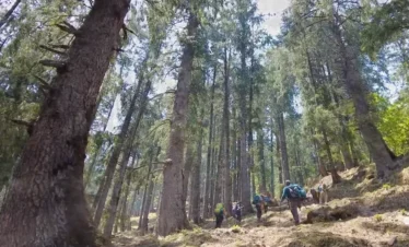 Kuari Pass Trek Package