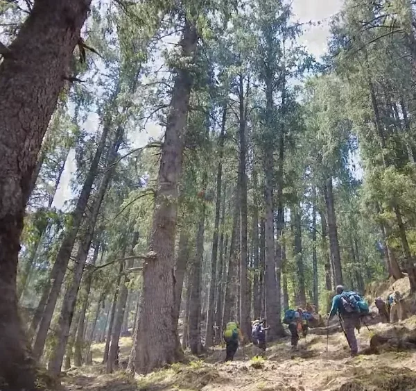 Kuari Pass Trek Package