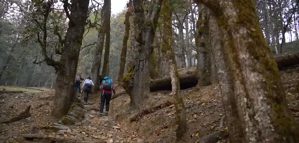 Kuari Pass Trek Package