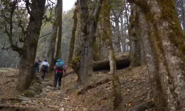 Kuari Pass Trek Package