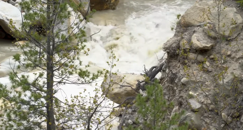 Gaumukh Tapovan Trek Package