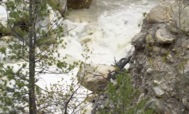 Gaumukh Tapovan Trek Package