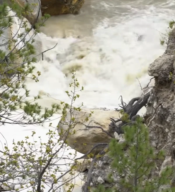 Gaumukh Tapovan Trek Package