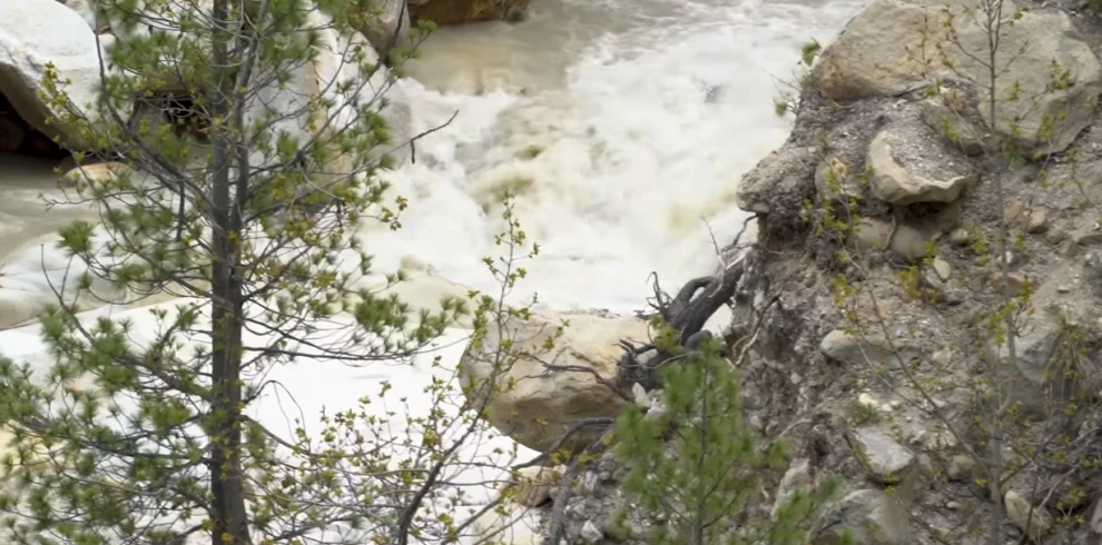 Gaumukh Tapovan Trek Package