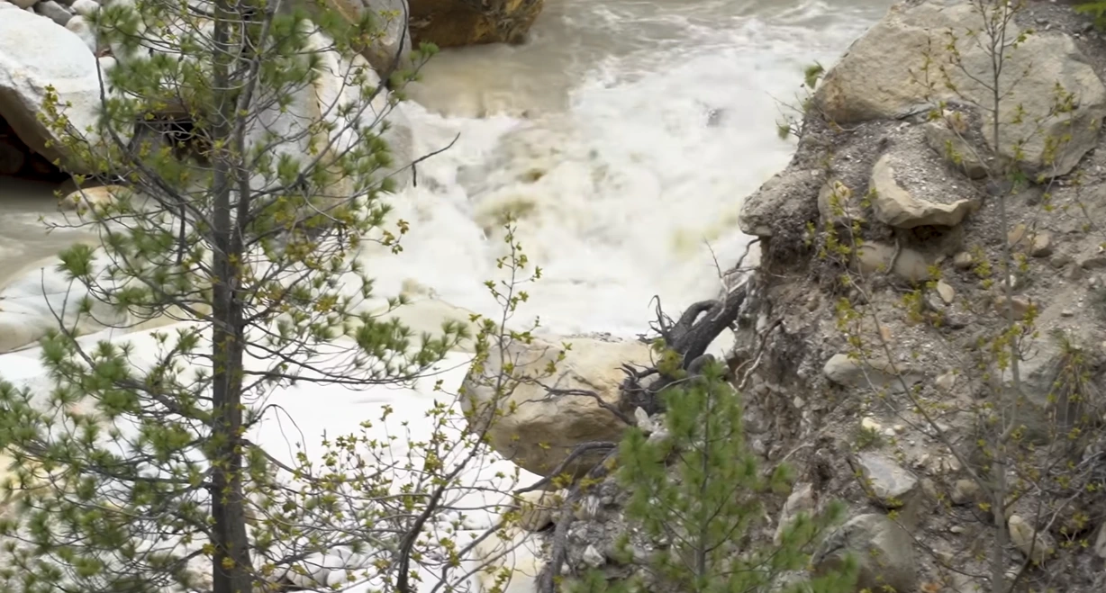 Gaumukh Tapovan Trek Package