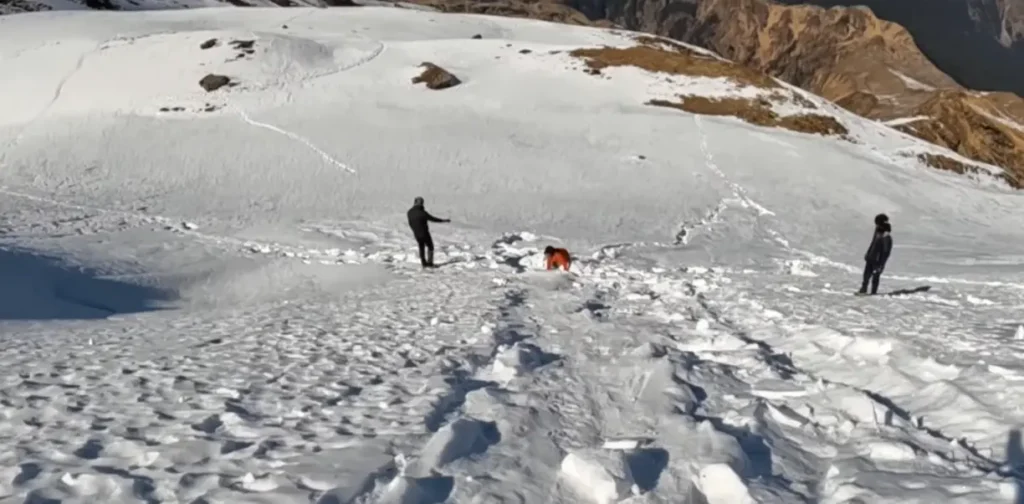 Pangarchulla via Kuari Pass Trek Package