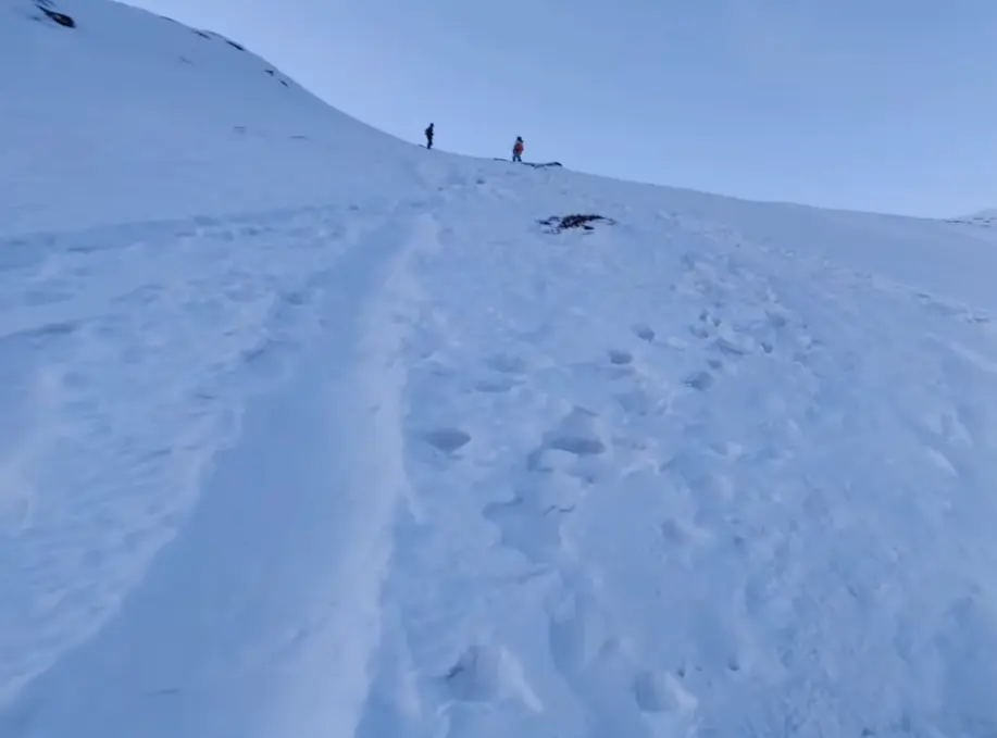 Pangarchulla via Kuari Pass Trek Package