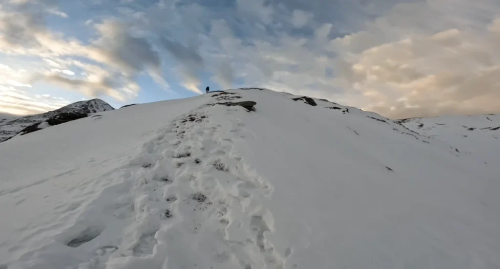 Pangarchulla via Kuari Pass Trek Package