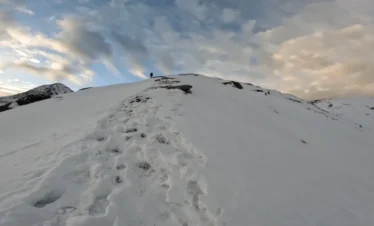 Pangarchulla via Kuari Pass Trek Package
