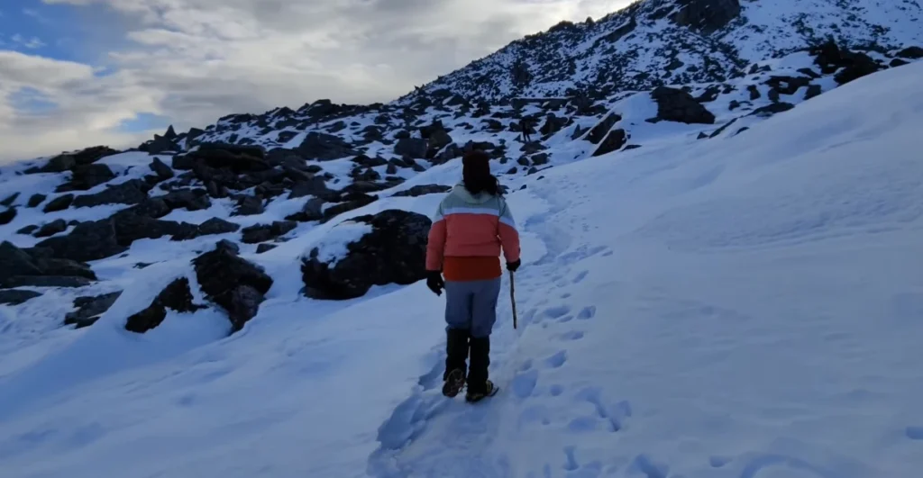 Pangarchulla via Kuari Pass Trek Package