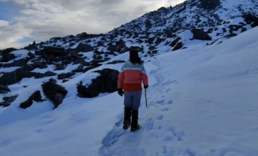 Pangarchulla via Kuari Pass Trek Package