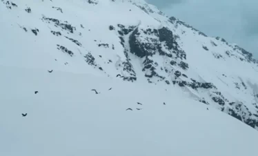 Rupin Pass Trek Package