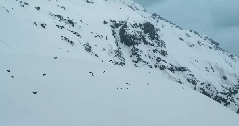 Rupin Pass Trek Package