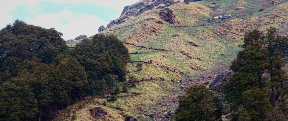 Sar Pass Trek Package