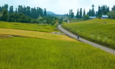 Kashmir Great Lakes Trek Package By The Trek 360