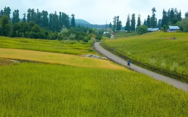 Kashmir Great Lakes Trek Package By The Trek 360