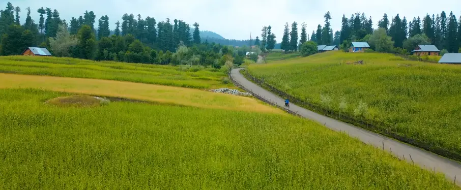 Kashmir Great Lakes Trek Package By The Trek 360