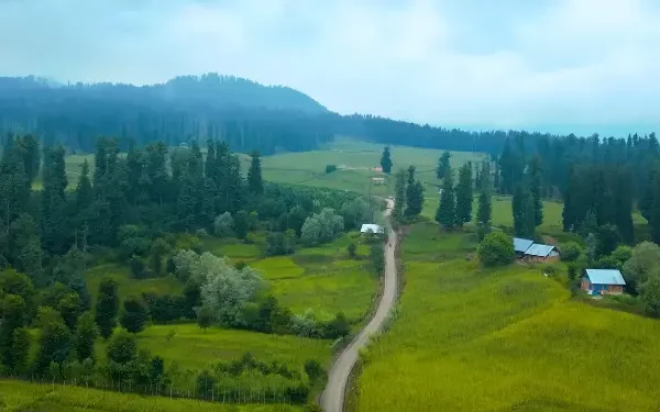 Kashmir Great Lakes Trek Package By The Trek 360