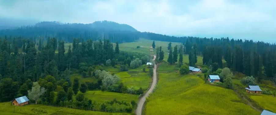 Kashmir Great Lakes Trek Package By The Trek 360