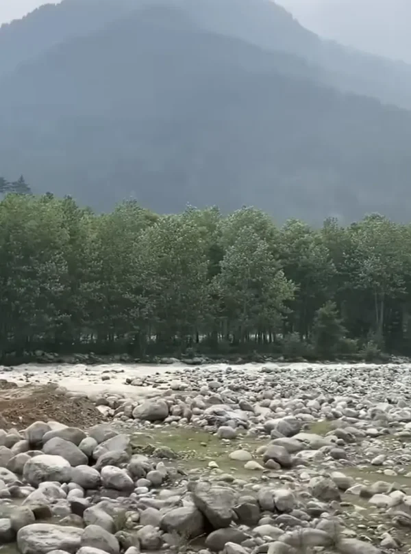 A rocky riverbed with lush green trees and misty Himalayan mountains in the background during the Manali to Ladakh road expedition.